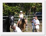 DSC03362 * 2592 x 1944 * (2.32MB)