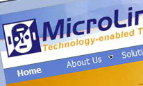 MicroLink Website